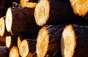 170609 ts why real wood