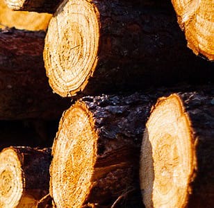 170612 ts hp real wood